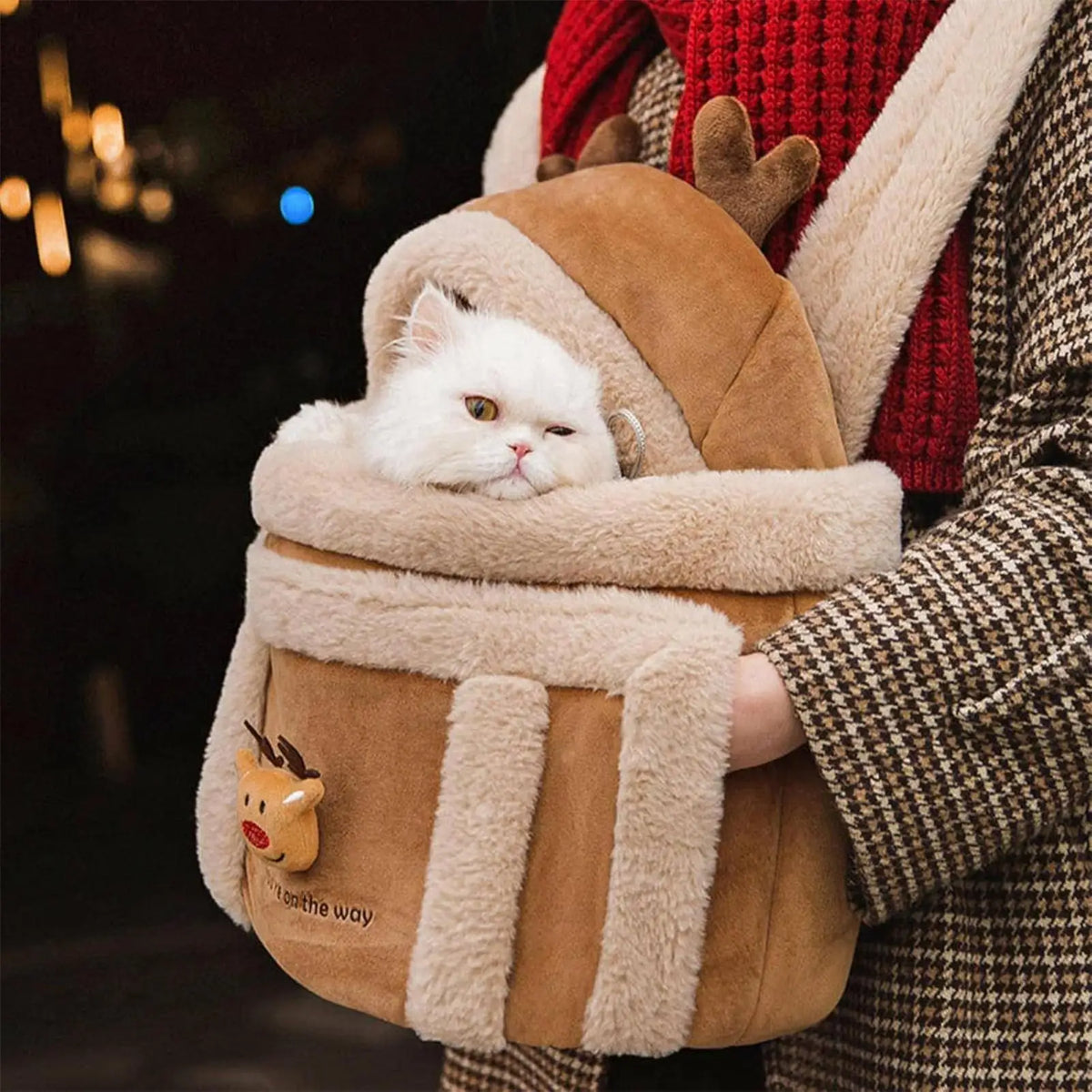 Cat in a festive brown bag with a reindeer design, held by a person wearing a plaid coat.