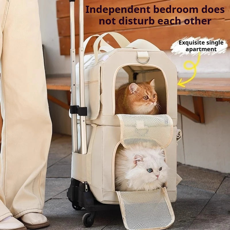 Two cats inside a beige pet carrier with wheels, placed on a carpeted floor.