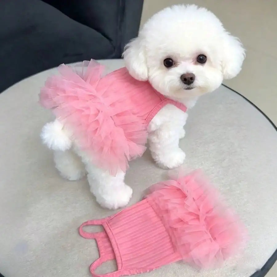 Cute pink dog dress for birthday and festival occasions