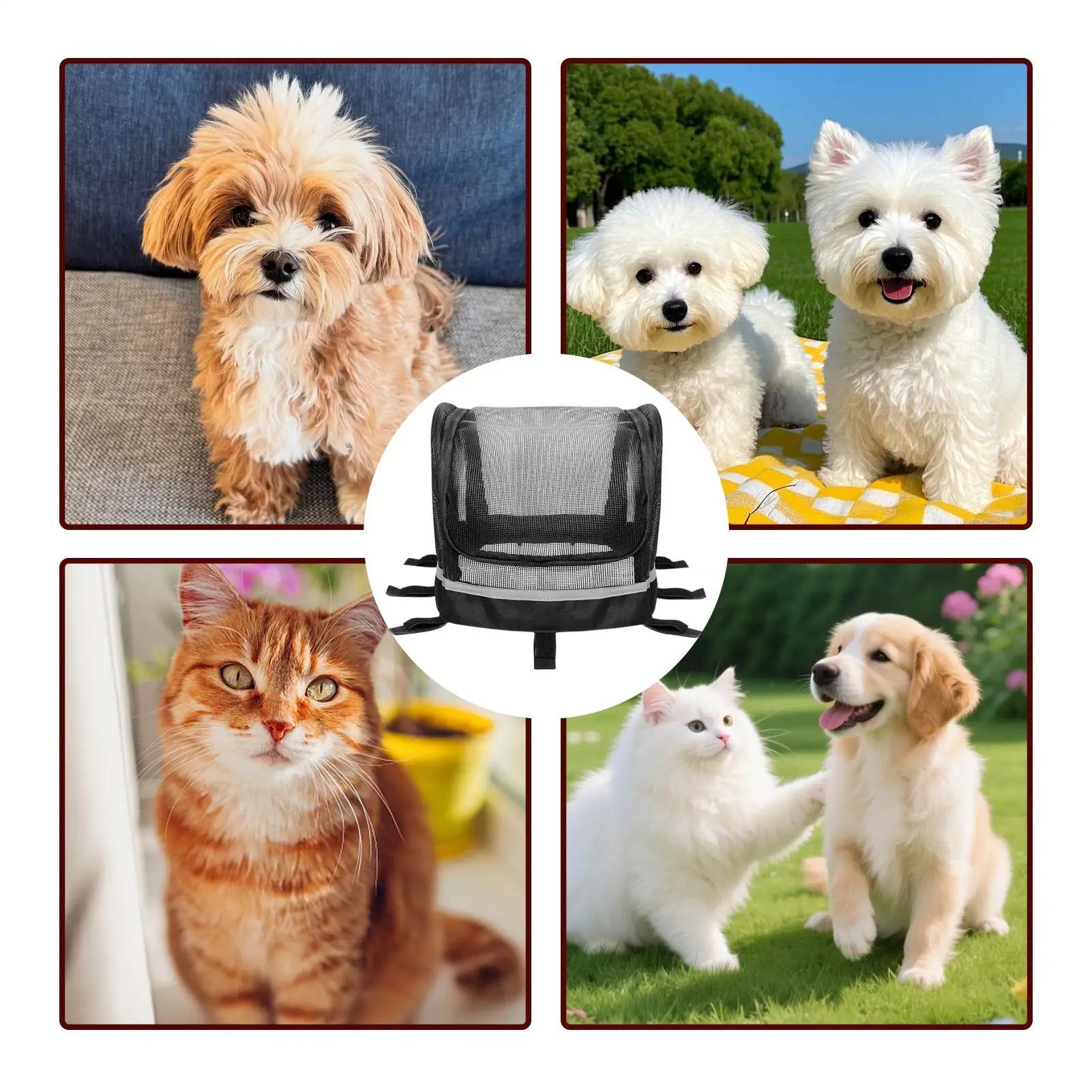 Pet Bicycle Handlebar Basket with Mesh Window — Shock-Absorbing Bike Carrier for Small Dogs & Cats