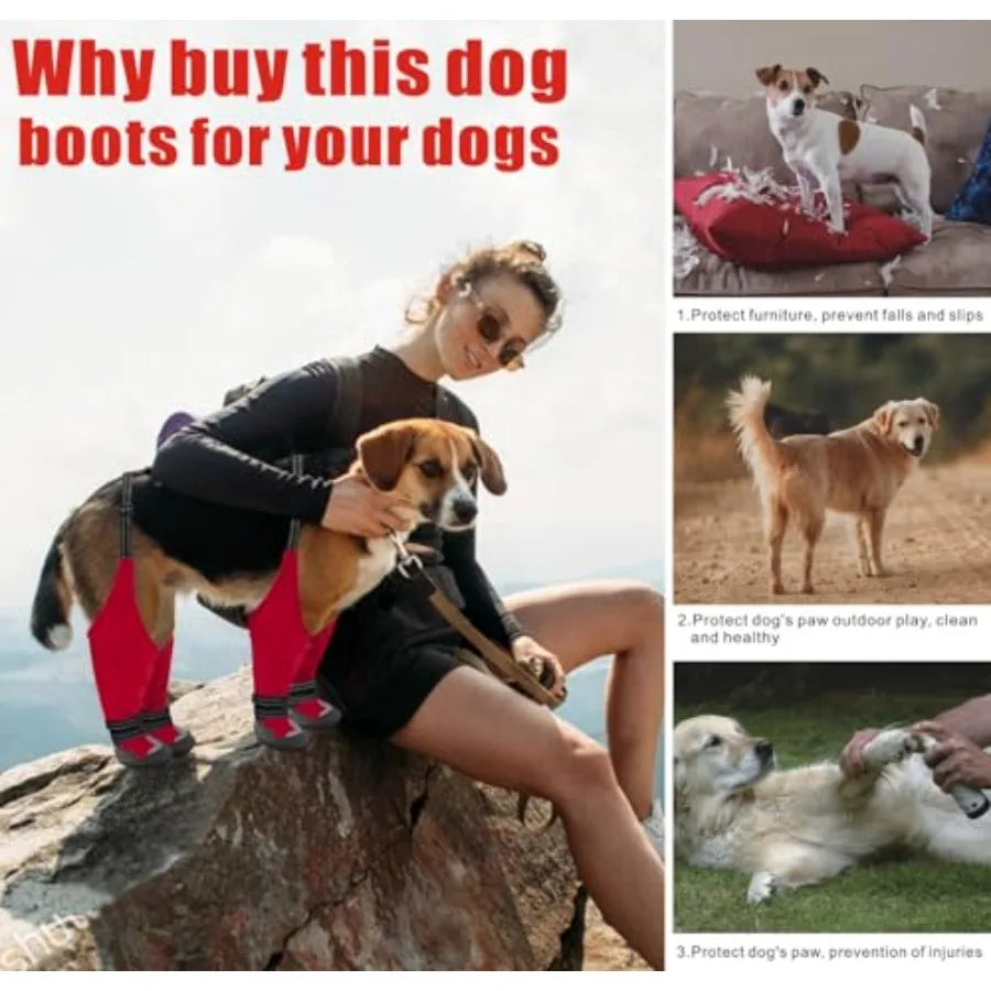 A promotional collage for dog boots. Large red text at the top reads 'Why buy this dog boots for your dogs.