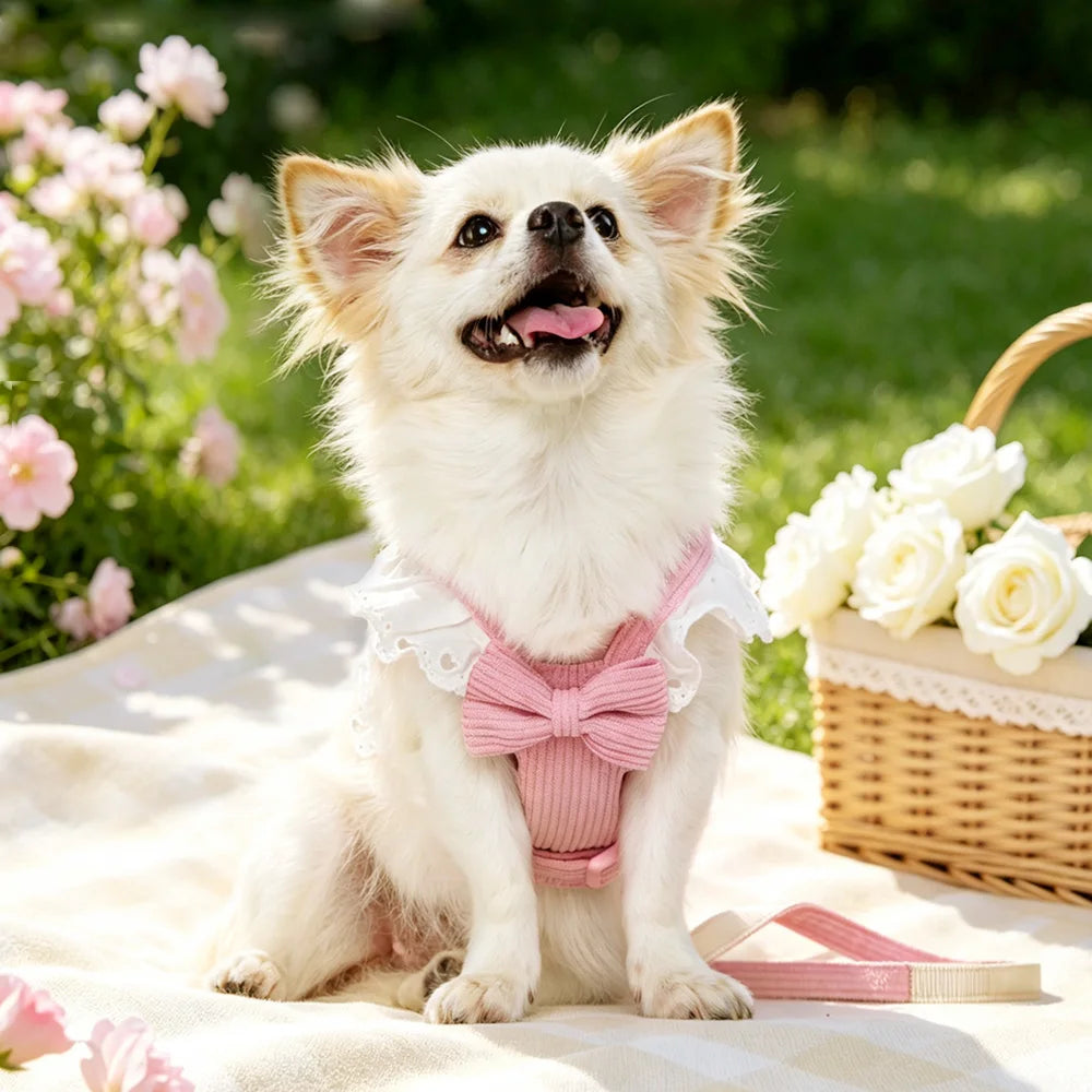 A small white dog wearing a pink ribbed harness with a large bow and white lace trim, sitting on a picnic blanket outdoors with flowers and a wicker basket in the background.