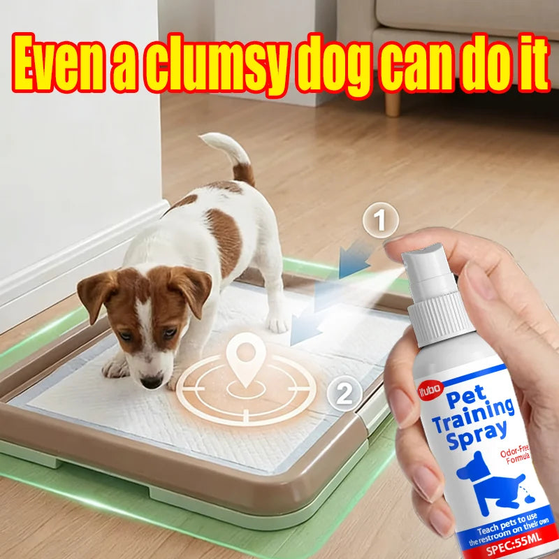 A small white and brown dog stands on a pet training mat while a human hand holds a bottle labeled 'Rubio Pet Training Spray' in the foreground. The scene includes overlaid instructional arrows and text, with a clean indoor room background.