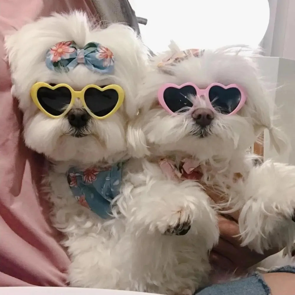 Fashion Pet Sunglasses for Dogs & Cats – UV Protection, Jewelry Accent, Multi-Color