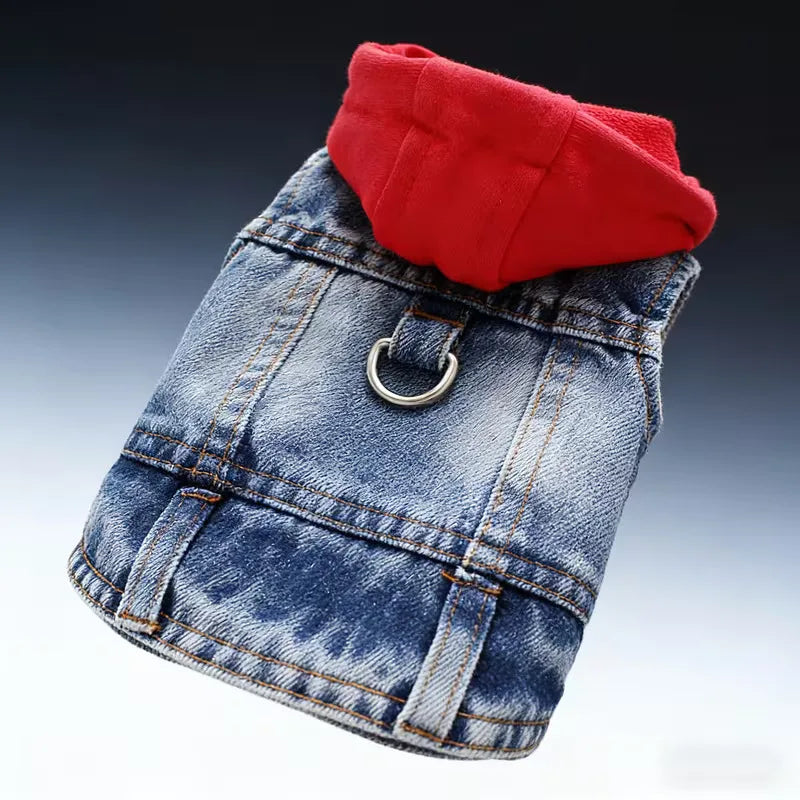 Denim dog coat with a red hood on a gradient background