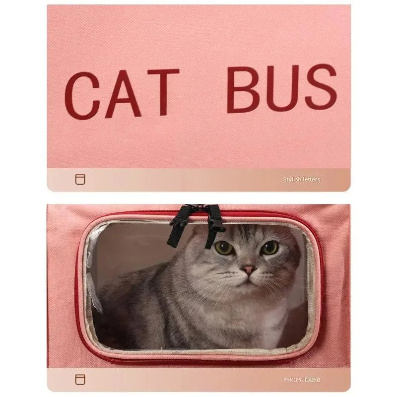 Pink cat bus with a cat inside and 'CAT BUS' text on a white background