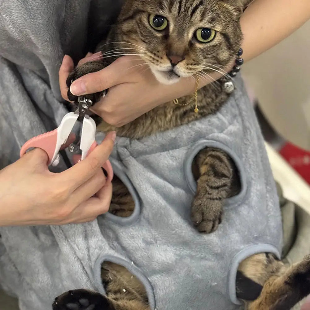 Cat being groomed with nail clippers on a gray grooming mat.