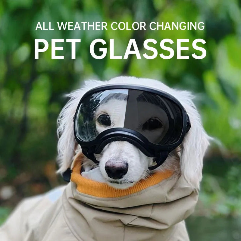 Color-Changing Dog Sunglasses & Goggles – UV-Resistant Eye Protection for Dogs