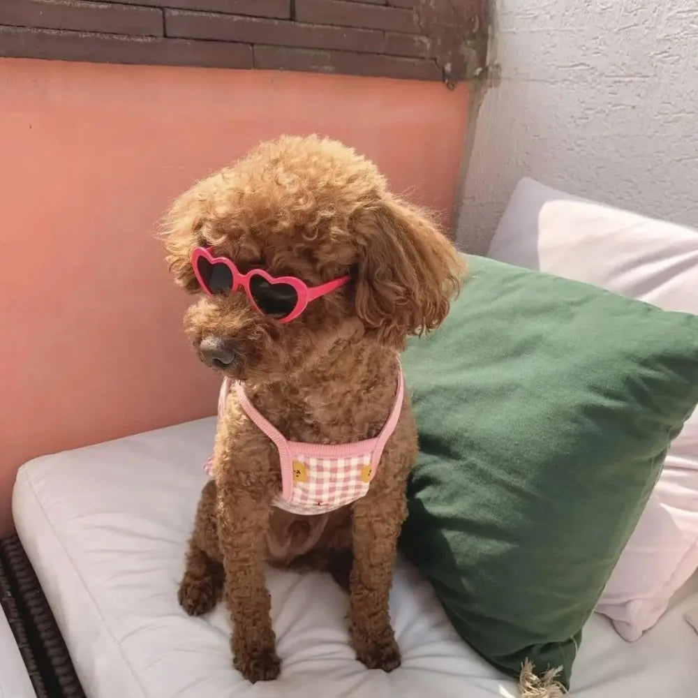 Fashion Pet Sunglasses for Dogs & Cats – UV Protection, Jewelry Accent, Multi-Color