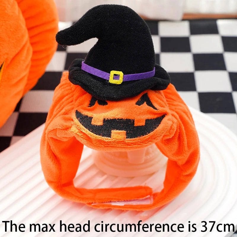 Halloween Pumpkin Dog & Cat Costume