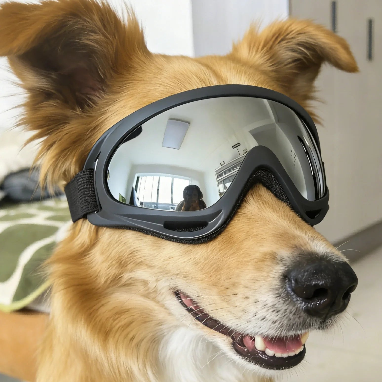 Dog Sunglasses UV400 – Stylish Protective Eyewear for Large Dogs & Puppies