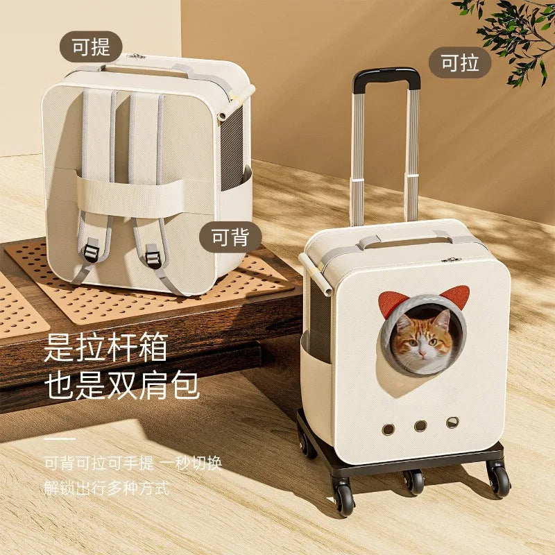 A pet carrier shown in two configurations on a warm beige indoor floor: on the left, as a backpack with a cat peeking through the front window, and on the right, as a rolling suitcase with a cat inside. The product is cream-colored with gray mesh panels, black wheels, and a black handle.