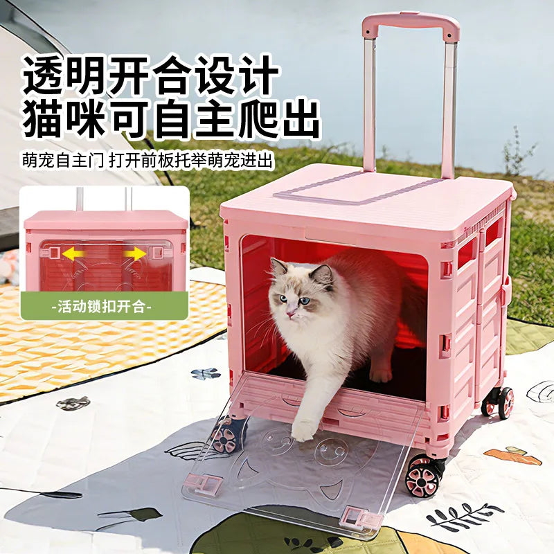 Pink rolling cat crate with a transparent hinged door and extendable handle, shown outdoors with a white cat standing inside. Chinese promotional text appears on the left, and the crate is placed on a blanket in a grassy outdoor setting.
