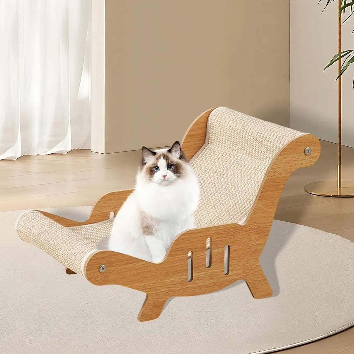 A fluffy white and brown cat sits inside a wooden pet lounge chair with beige woven fabric cushions, set on a round rug in a bright, modern room.