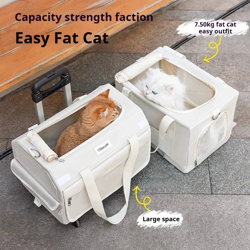 Two pet carriers with cats inside, labeled for capacity and weight.