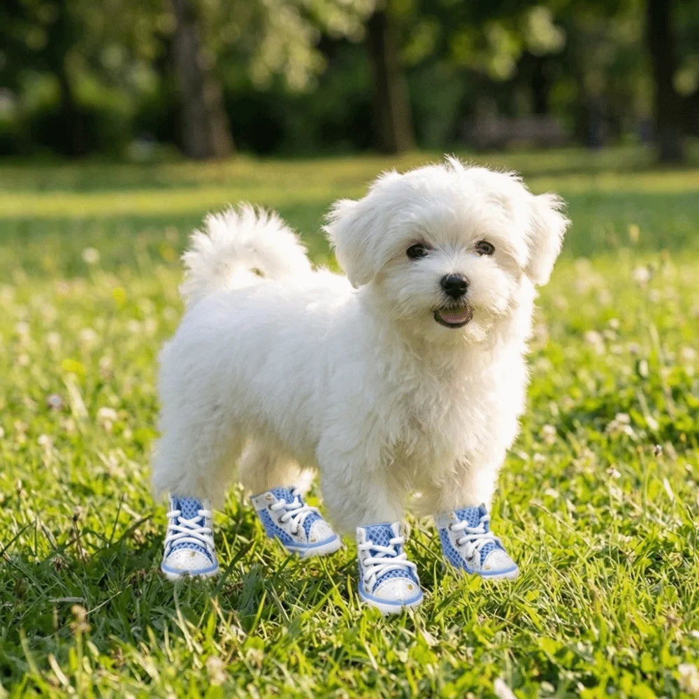 Breathable Dog Mesh Shoes – Anti-Slip Paw Protectors