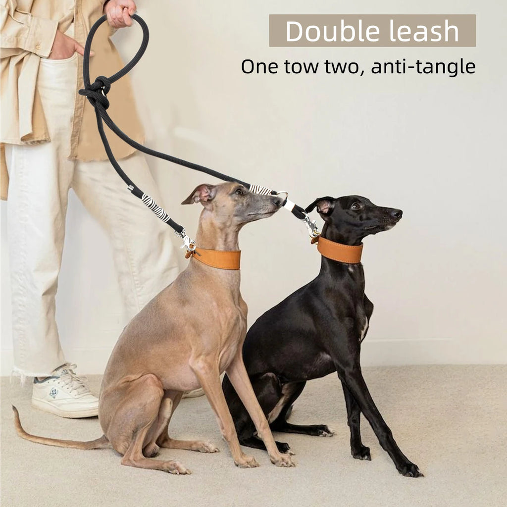 Multifunctional Hands-Free Dog Leash | Braided Nylon for Medium & Large Dogs