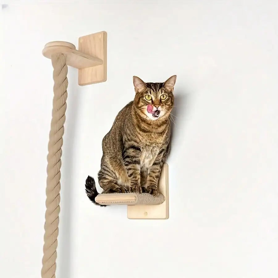 A brown tabby cat sits on a light wood cat perch mounted on a white wall, next to a tall rope cat tree.