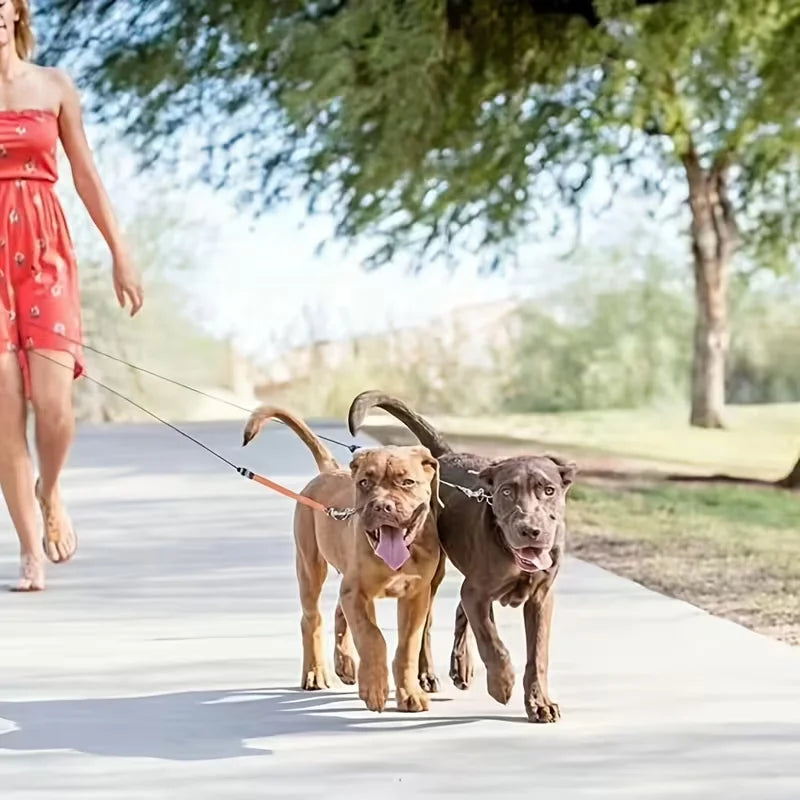 A woman in a red dress walks two dogs on leashes along a paved path in a park with trees in the background.