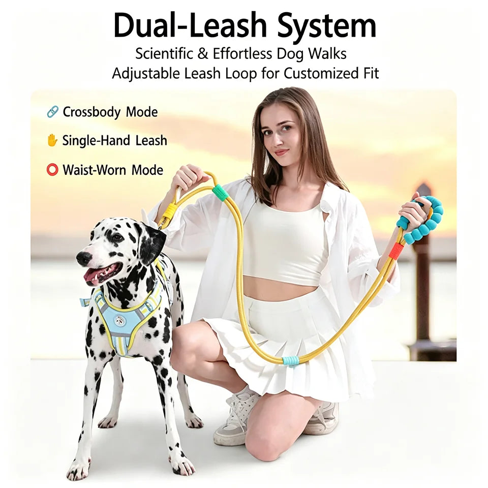 No-Pull Dual-Mode Dog Leash with Shock Absorber