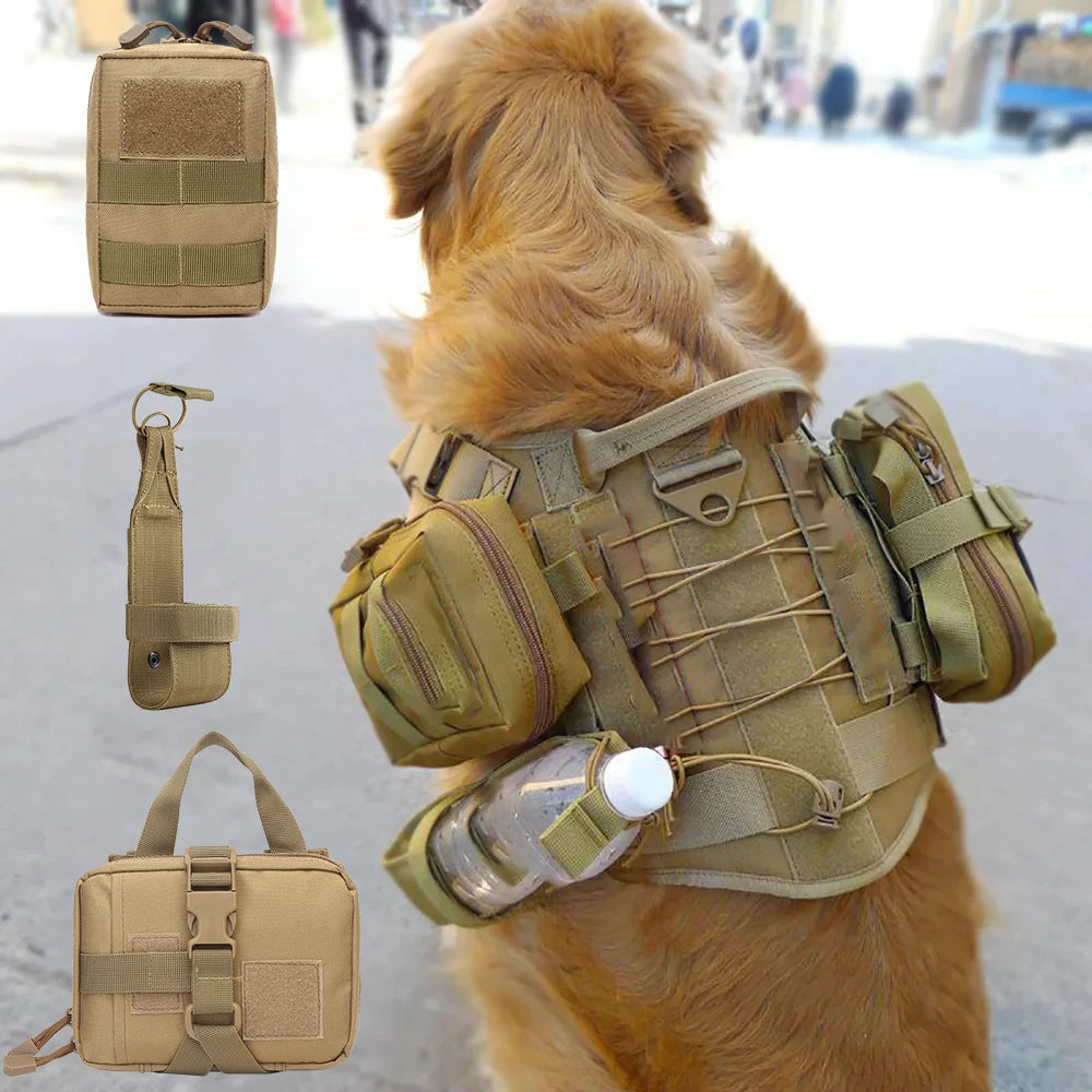Dog wearing a tactical vest with attached pouches in an urban setting