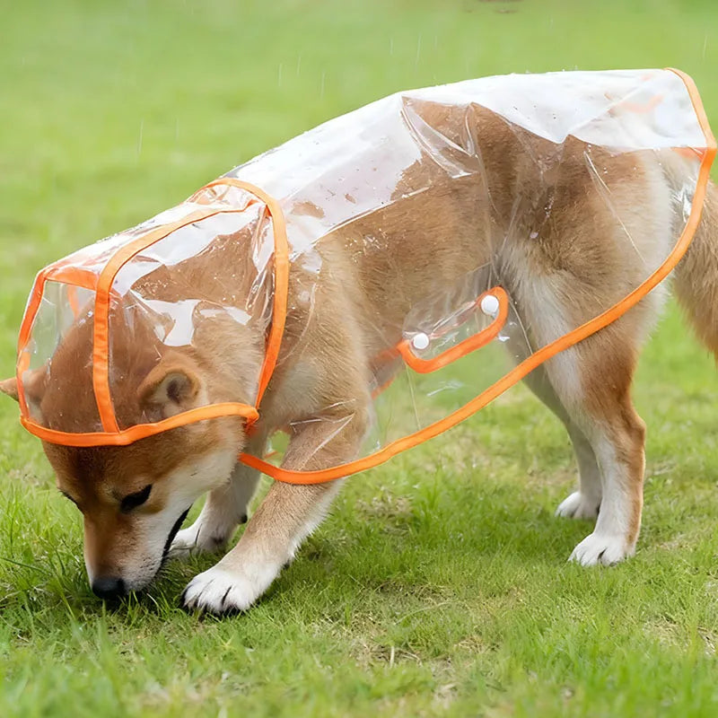 Transparent Dog Raincoat | Waterproof & Windproof Pet Rain Jacket (S-XL)