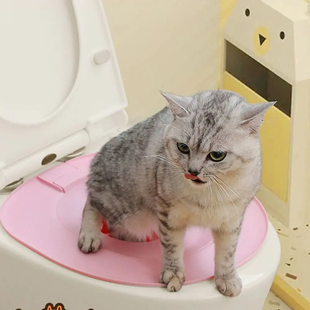 Cat on a pink pet toilet seat in a bathroom setting