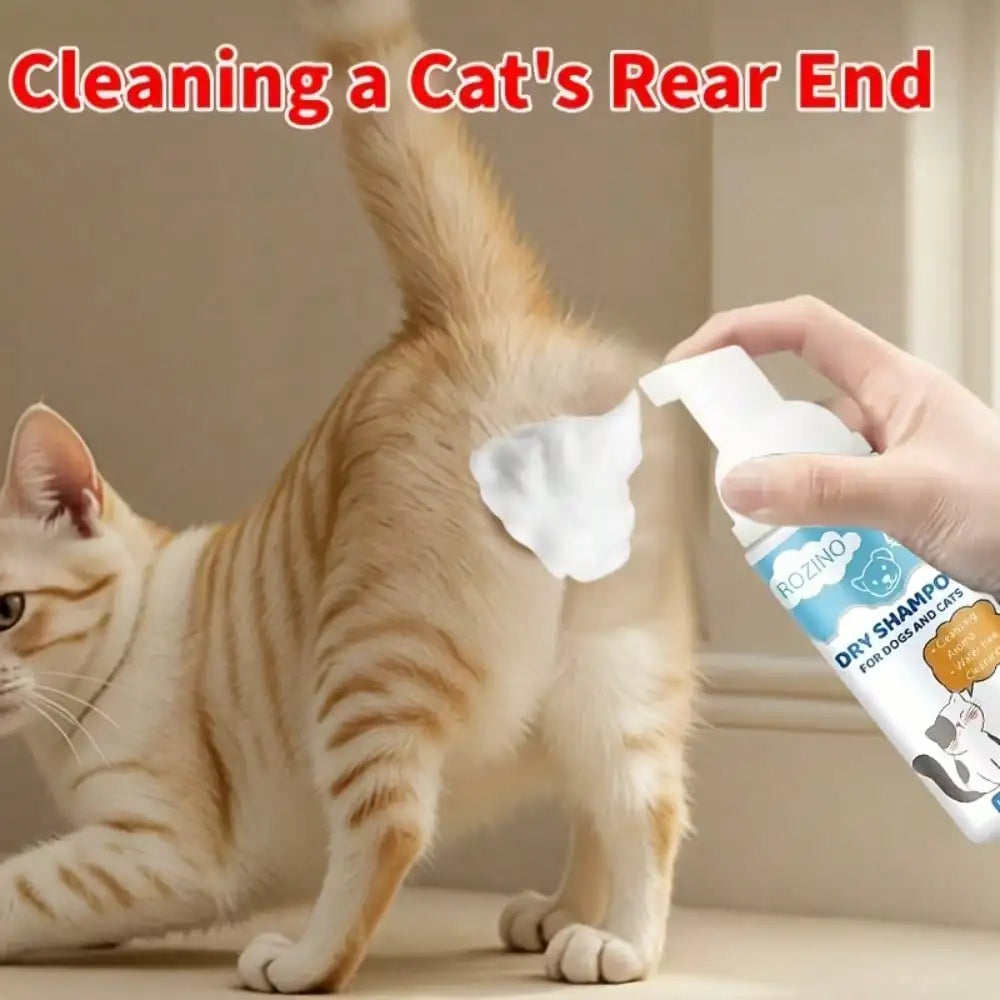 A ginger cat stands on a beige floor while a human hand sprays white foam from a pet cleaning spray bottle onto its rear end. Large red text at the top reads 'Cleaning a Cat's Rear End.