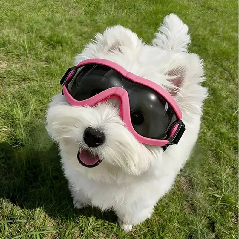 Dog Goggles for Sun, Wind & Dust