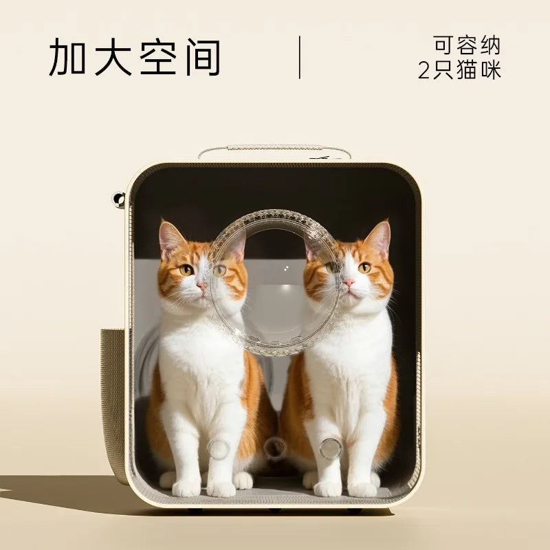 Pet carrier with two cats on a beige background