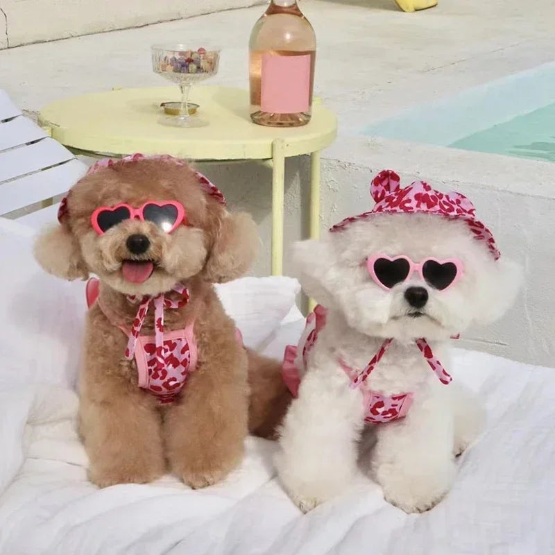 Sunny Paws Beach Set – 2-Piece Summer Dress & Cap for Small Dogs
