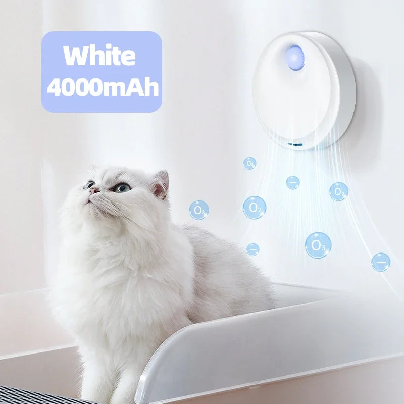 White cat looking at a white electronic device with blue accents on a light gray background.