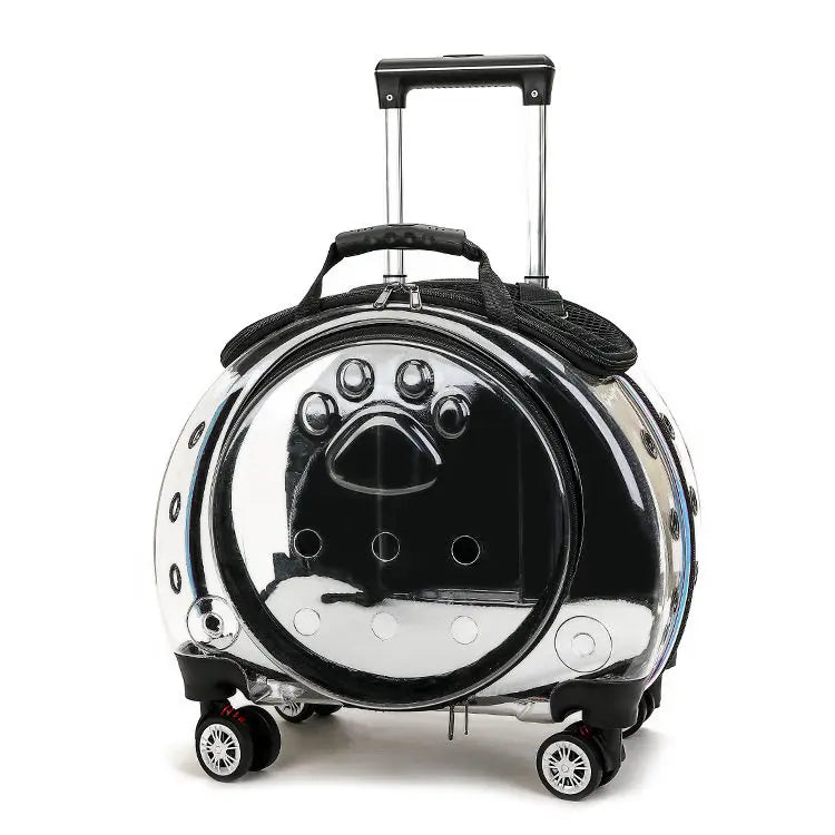 Clear pet carrier with paw print design on wheels and handle, on a white background