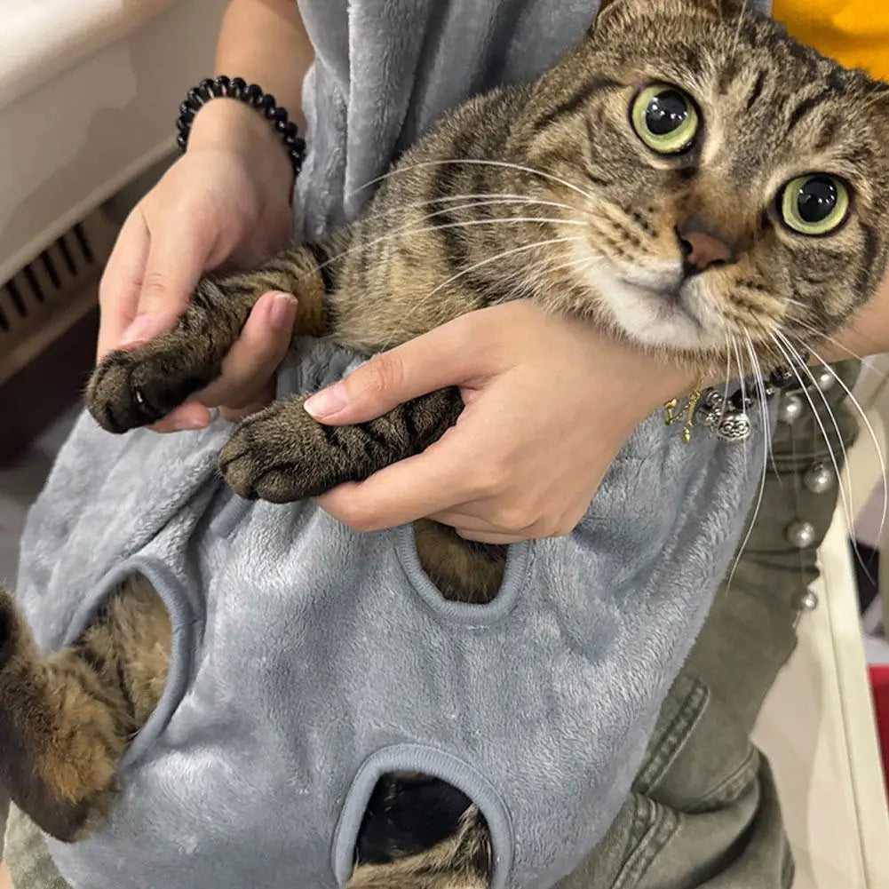 Cat being held by a person wearing a gray cat-shaped bag.
