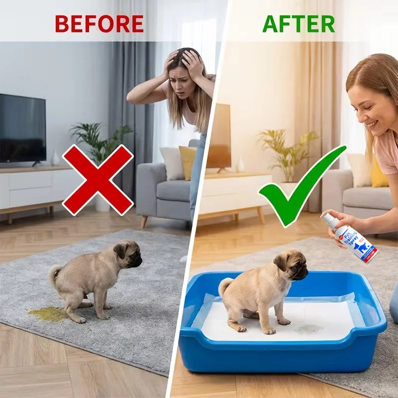Before-and-after split comparison showing a pug puppy using a blue plastic litter box. On the left, labeled 'BEFORE' with a red X, the puppy is shown on a gray rug with a yellow pee mark and a stressed woman in a living room.