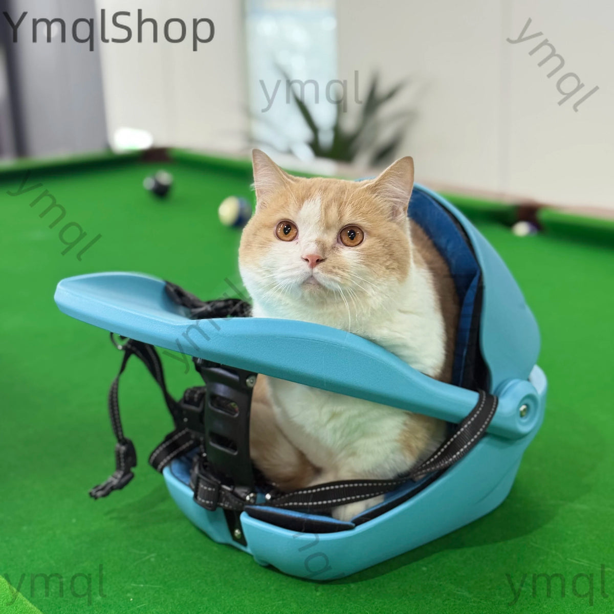 A ginger and white cat sits inside a light blue pet car seat with black harness straps, placed on a green pool table. The image has 'YmqlShop' watermarks.