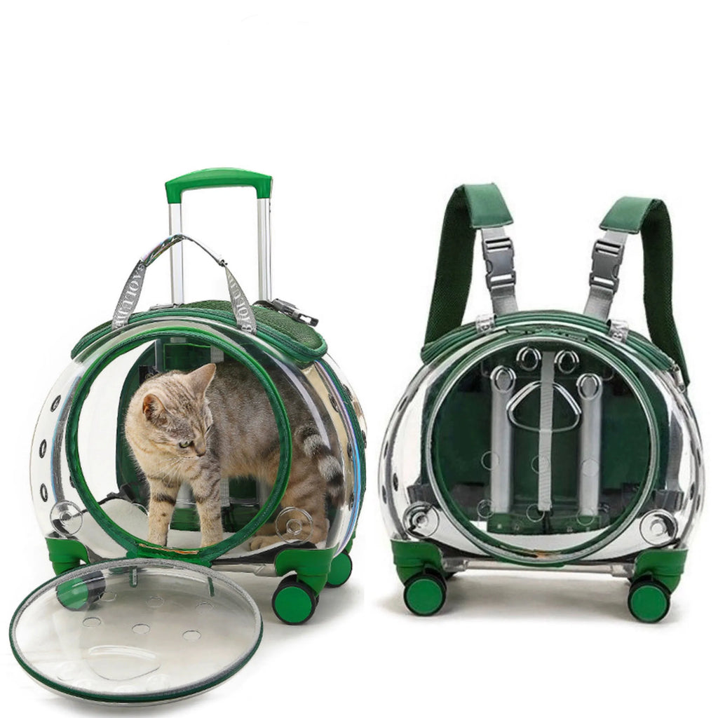 Pet carrier with a cat inside, designed like a suitcase and backpack.