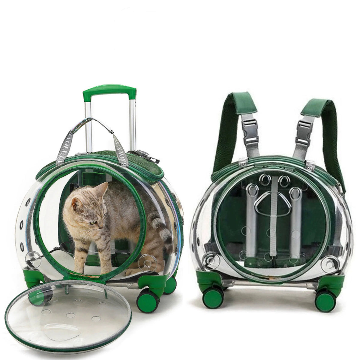 Pet carrier with a cat inside, designed like a suitcase and backpack.