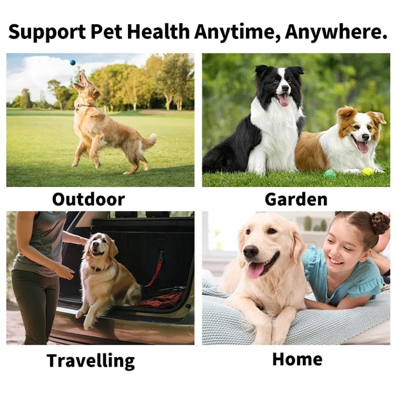Disposable Pet Finger Toothbrush & Dental Wipes – Oral Care for Dogs & Cats