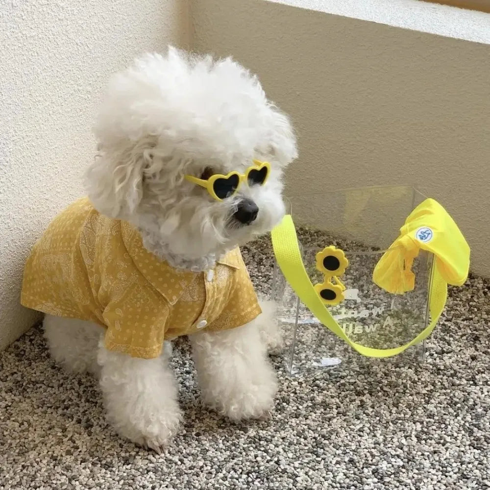 Fashion Pet Sunglasses for Dogs & Cats – UV Protection, Jewelry Accent, Multi-Color