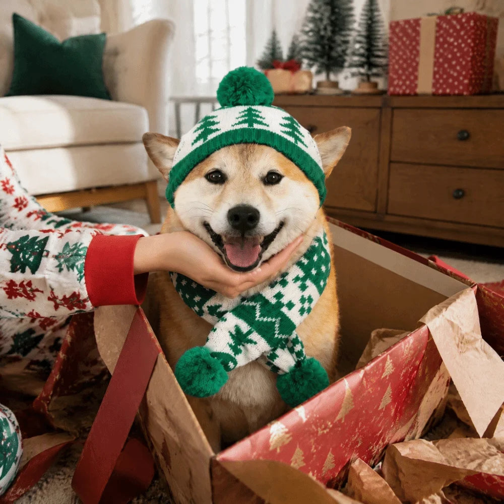 A Shiba Inu dog wearing a green and white Christmas knit hat with a pom-pom and matching knit scarf, sitting inside an open cardboard gift box filled with wrapping paper in a cozy living room setting.