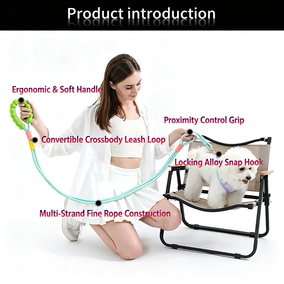 No-Pull Dual-Mode Dog Leash with Shock Absorber