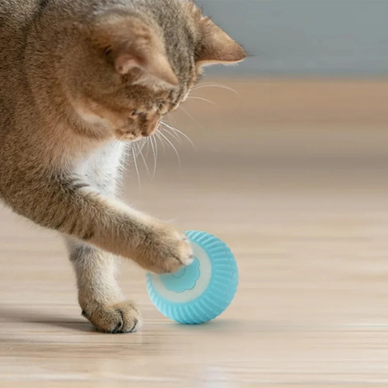 Smart Electric Rolling Ball Cat Toy – USB Rechargeable Interactive Chew-Proof Toy