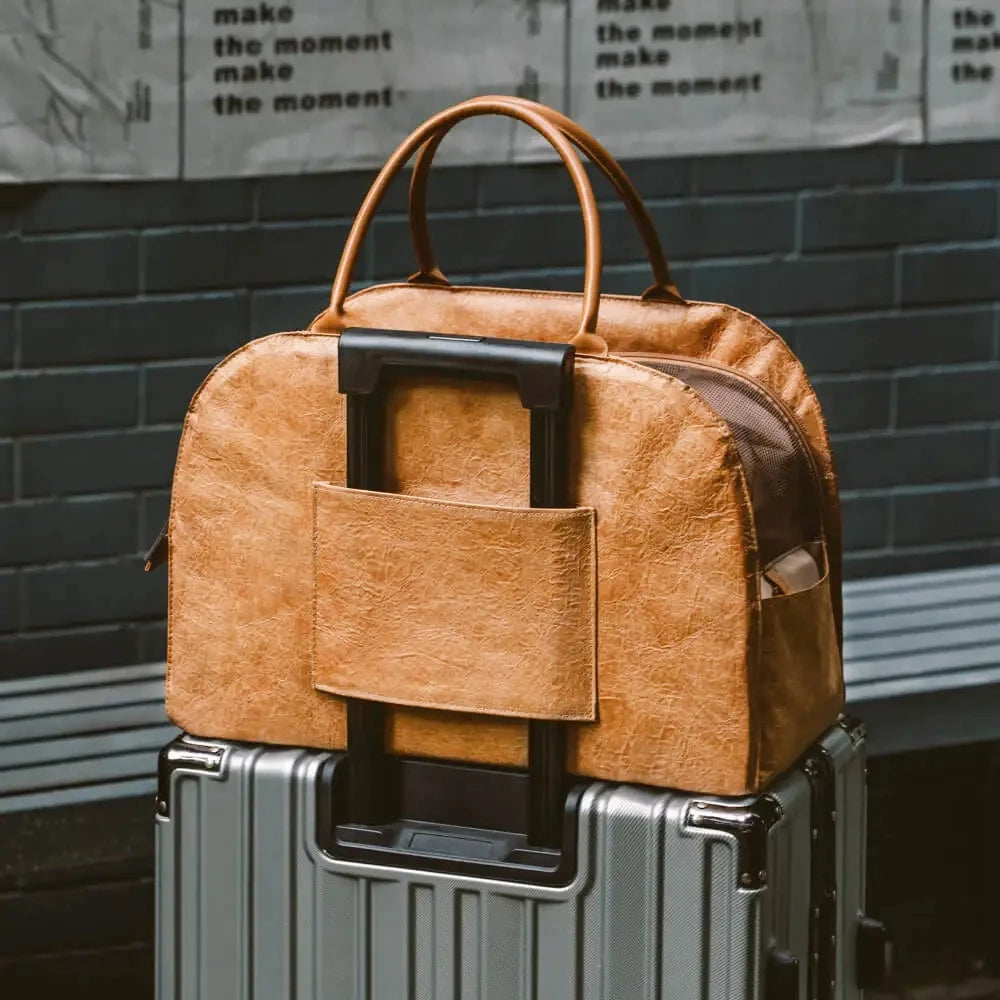 Warm Leather Pet Travel Carrier