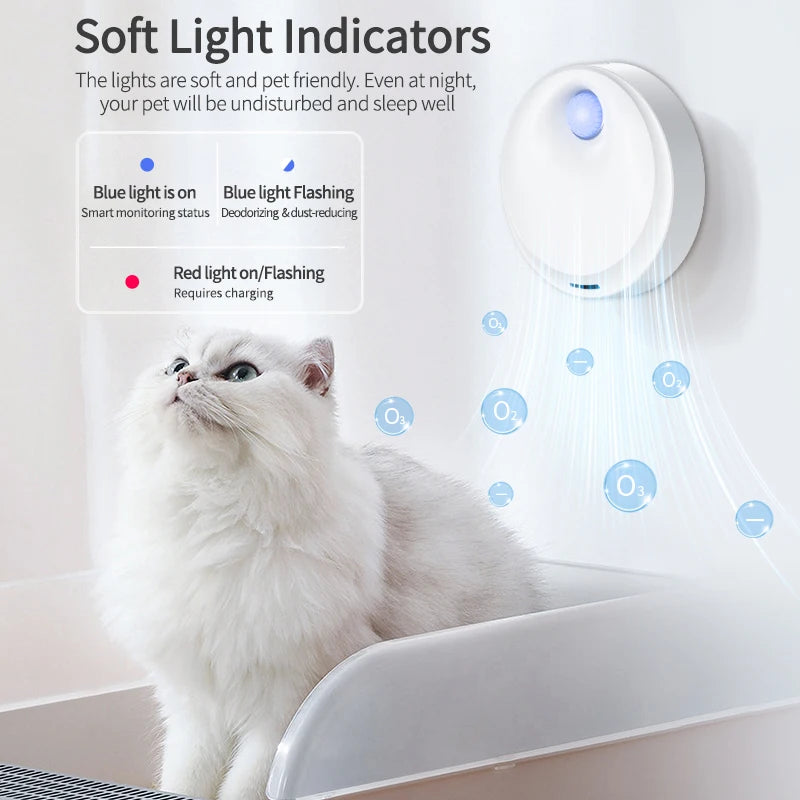 Cat sitting next to a device with soft light indicators on a white background