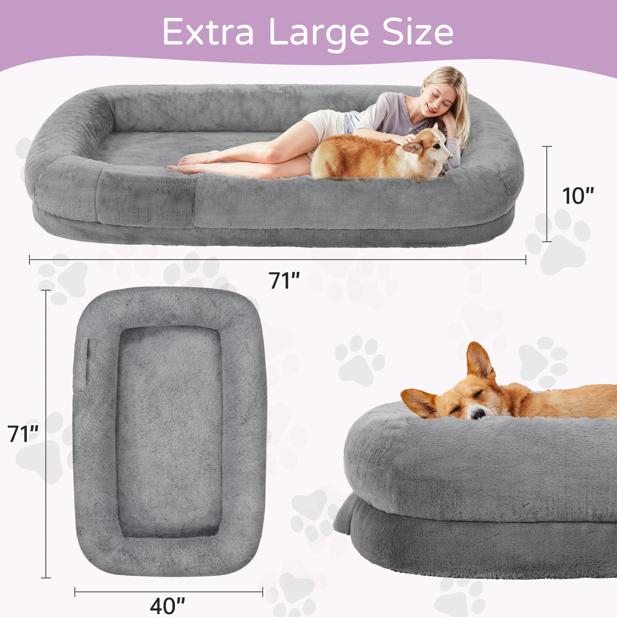 Extra large gray inflatable pet bed shown with dimension labels (71 x 40 x 10 inches), a woman lying on the bed with a dog, a top-down view of the bed, and a dog resting on the bed. Text at the top reads 'Extra Large Size'.