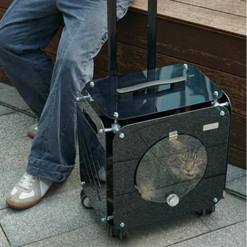 Person sitting on a bench with a black suitcase featuring a circular design.