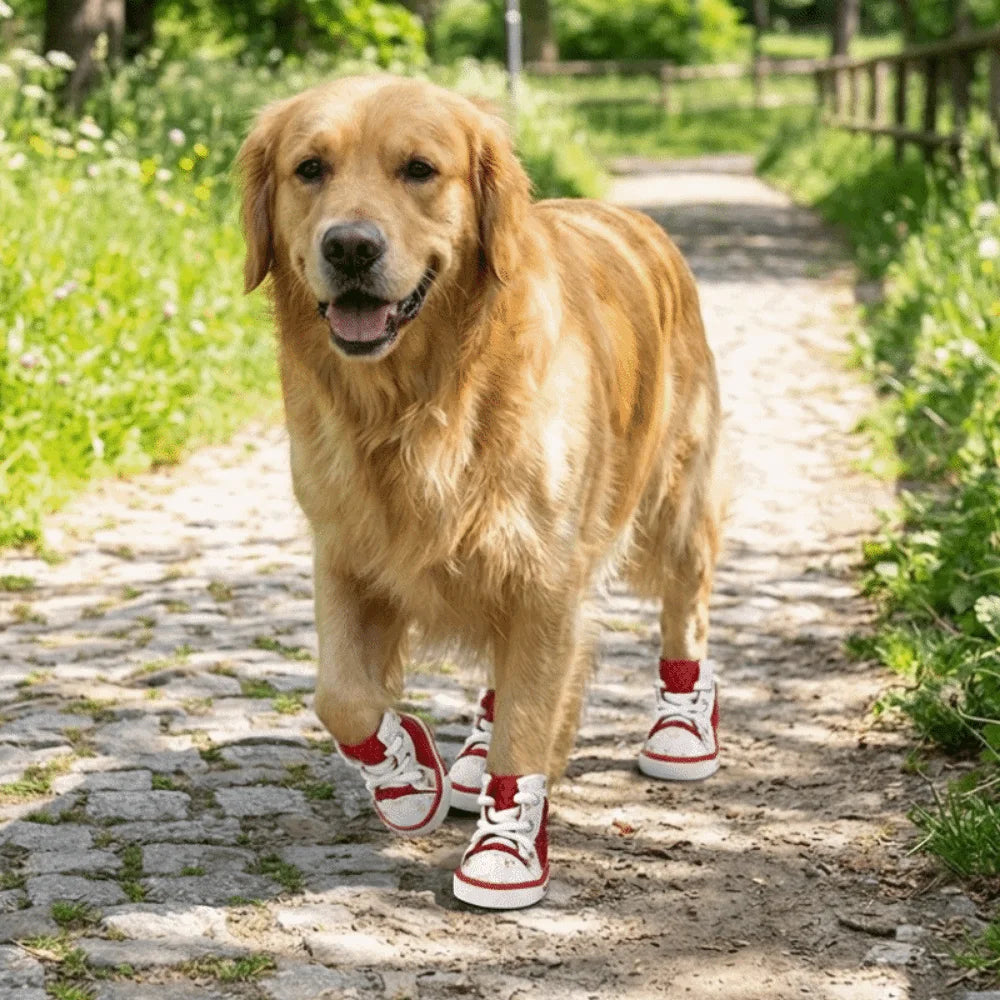 Breathable Dog Mesh Shoes – Anti-Slip Paw Protectors