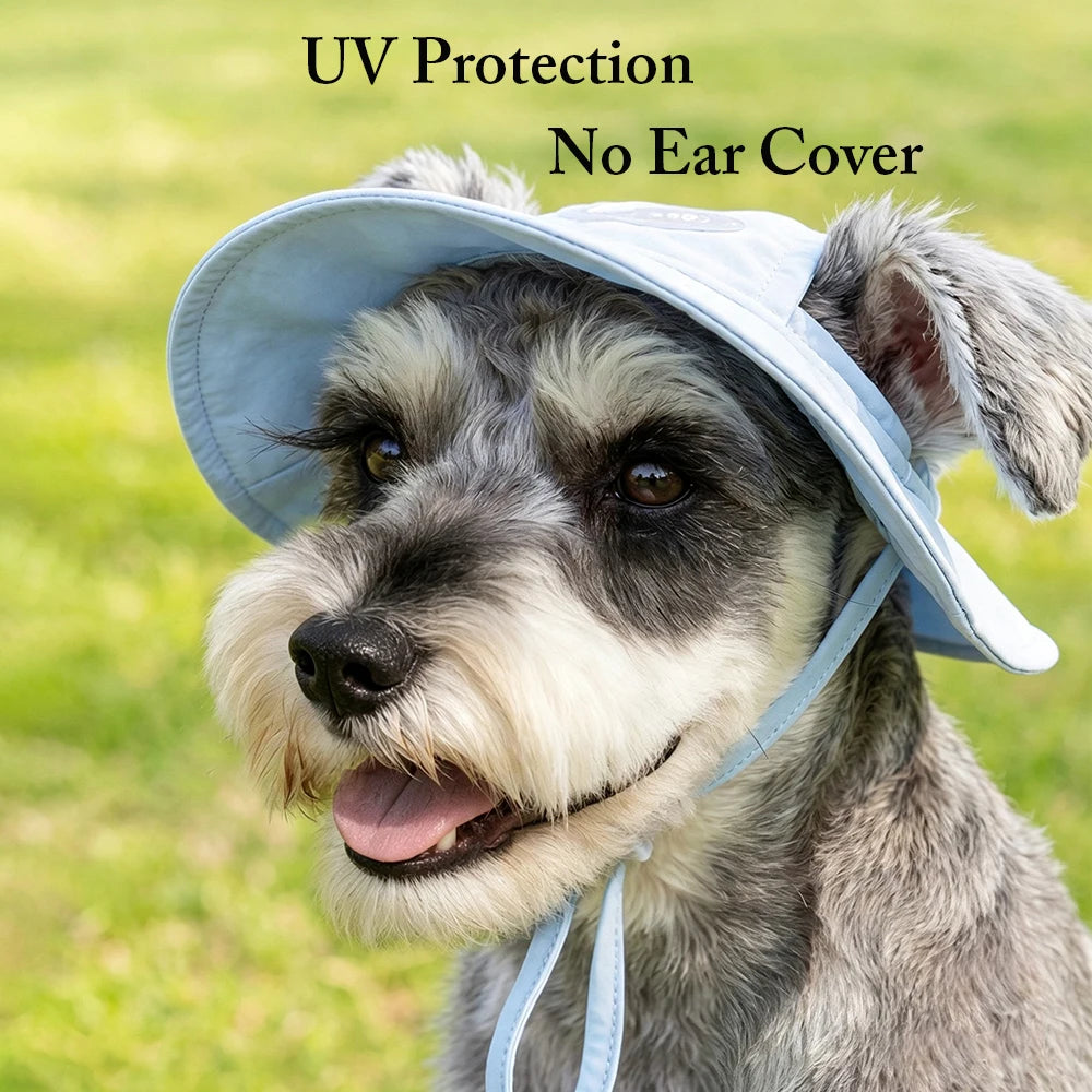 Dog wearing a light blue sun hat with text 'UV Protection No Ear Cover' on a grassy background
