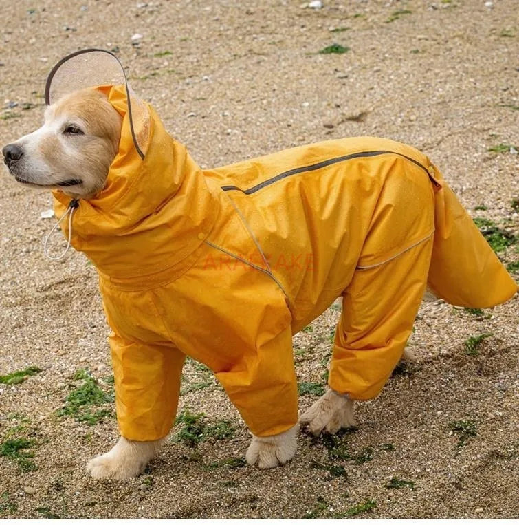 Dog wearing a yellow raincoat on a sandy ground